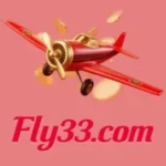 FLY33